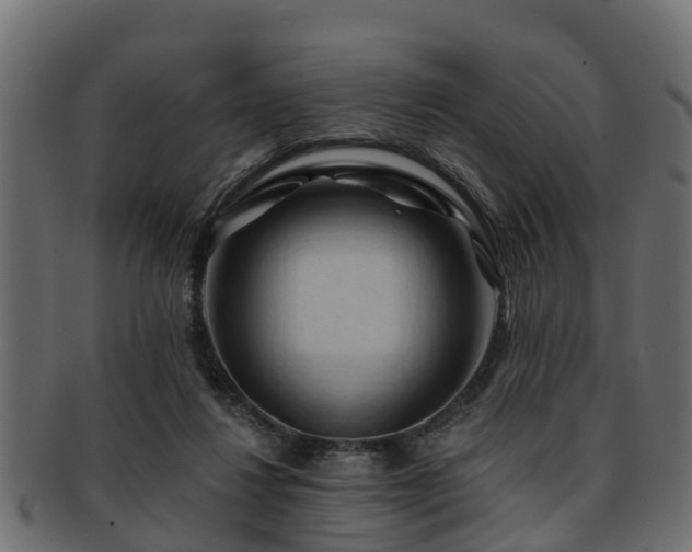 X0000093110260200709261256