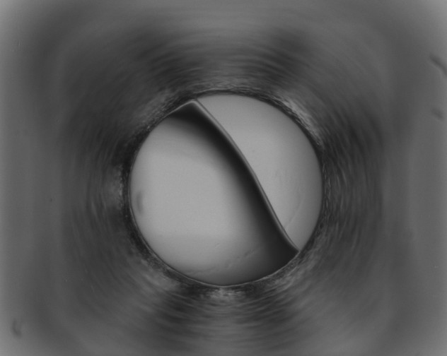 X0000093110261200709261256