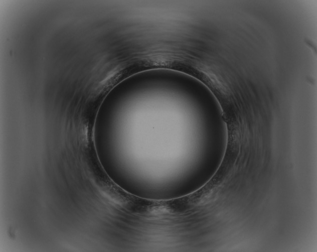 X0000093110262200709261256
