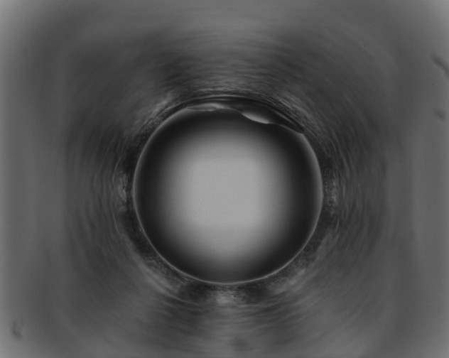 X0000093110264200709261256