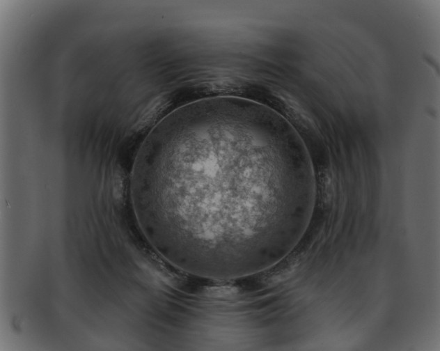 X0000093110266200709261256