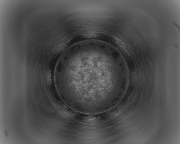X0000093110267200709261256
