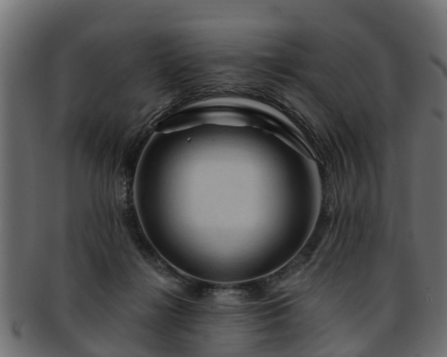 X0000093110268200709261256