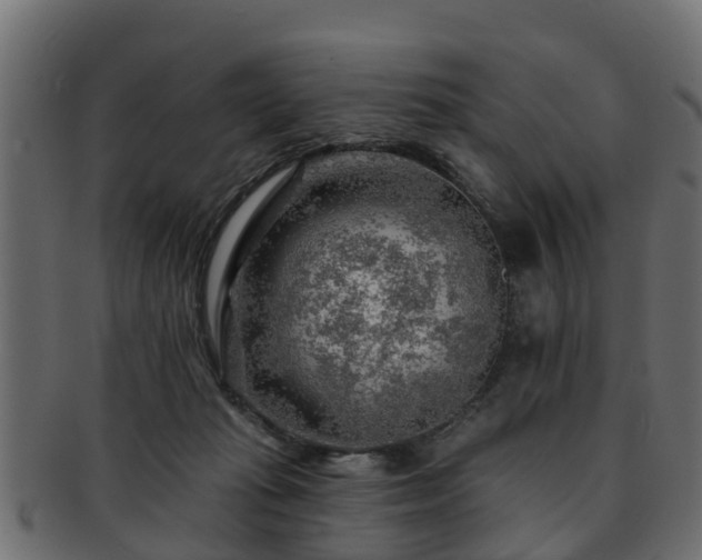 X0000093110269200709261256