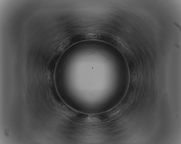 X0000093110270200709261256
