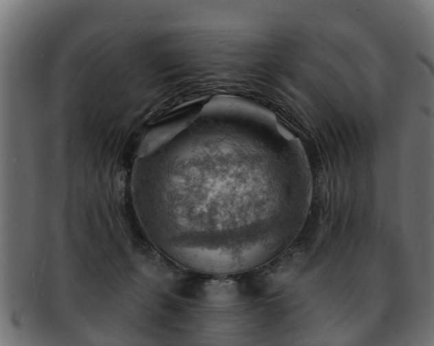 X0000093110271200709261256