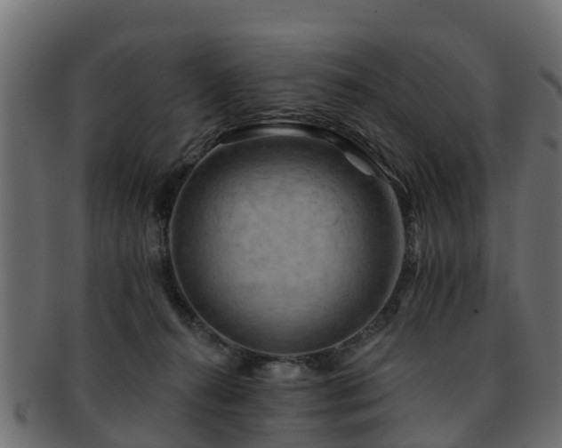 X0000093110272200709261256
