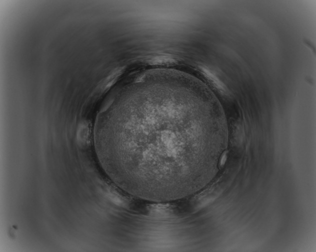X0000093110273200709261256