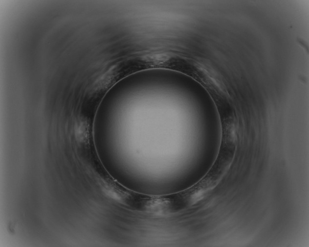 X0000093110274200709261256