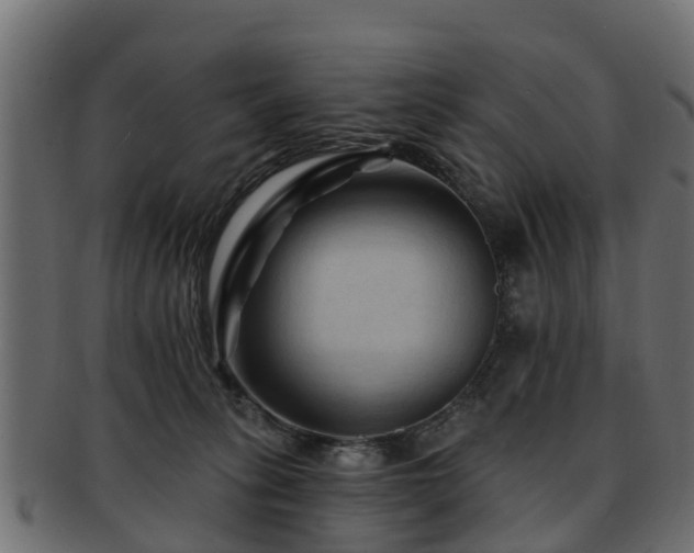 X0000093110275200709261256