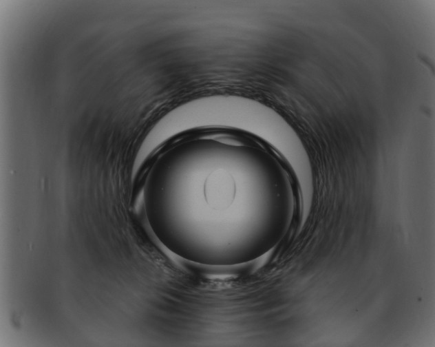 X0000093110276200709261256