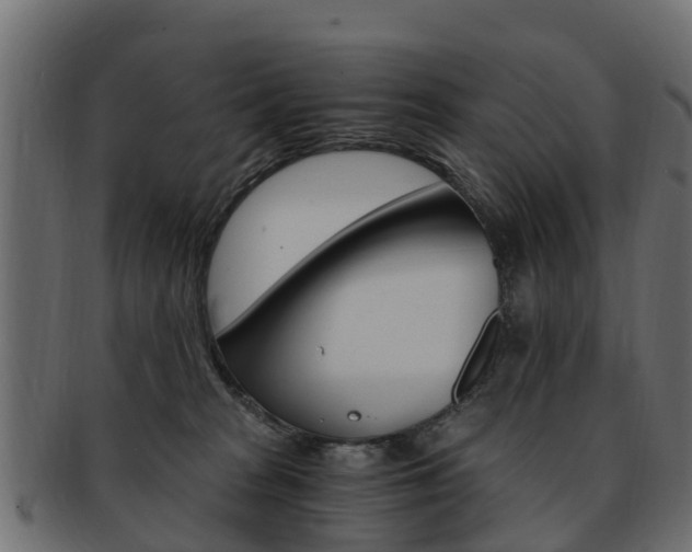 X0000093110277200709261256
