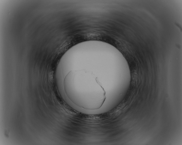 X0000093110278200709261256