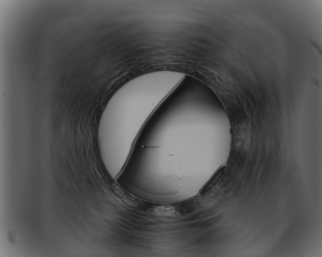 X0000093110279200709261256
