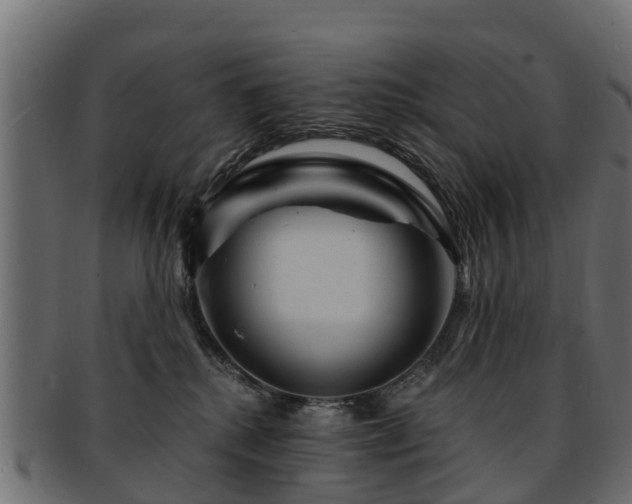 X0000093110280200709261256