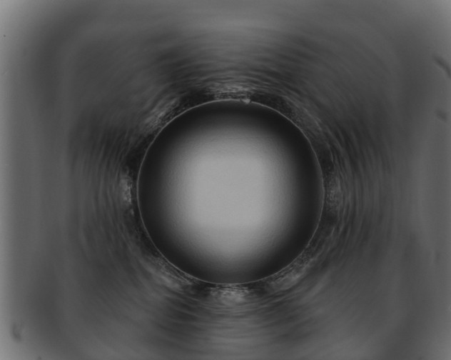 X0000093110282200709261256