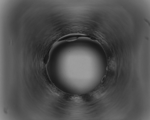 X0000093110283200709261256