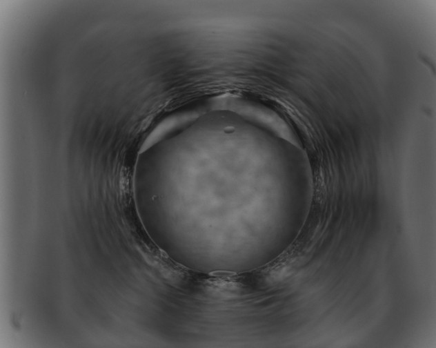 X0000093110284200709261256