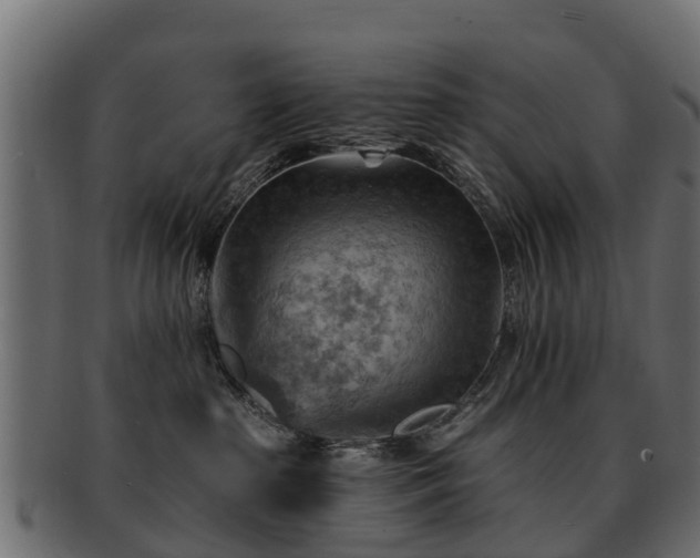 X0000093110285200709261257