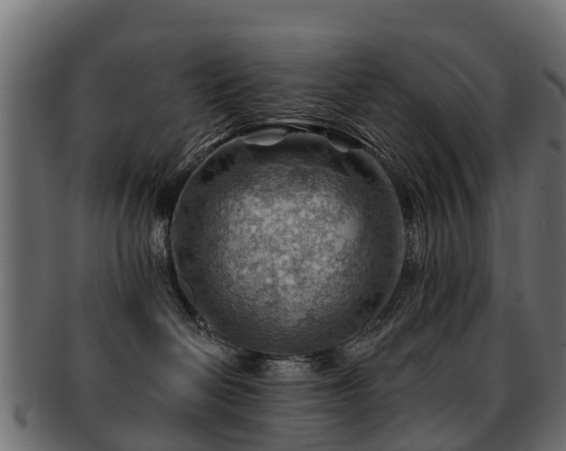 X0000093110286200709261257