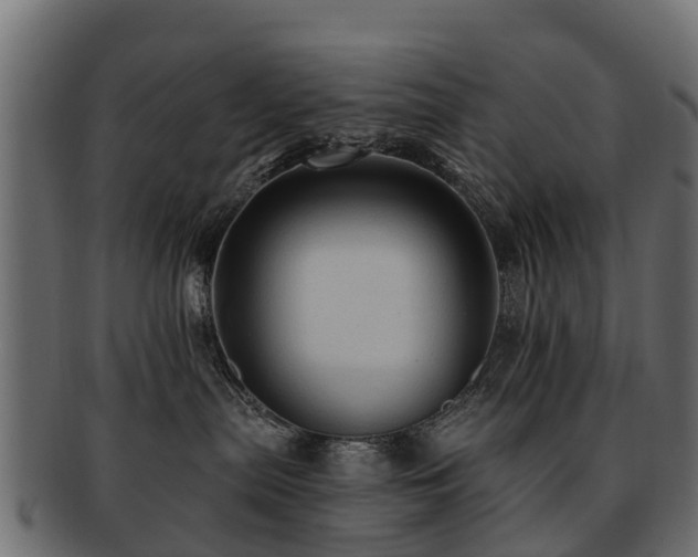 X0000093110287200709261257