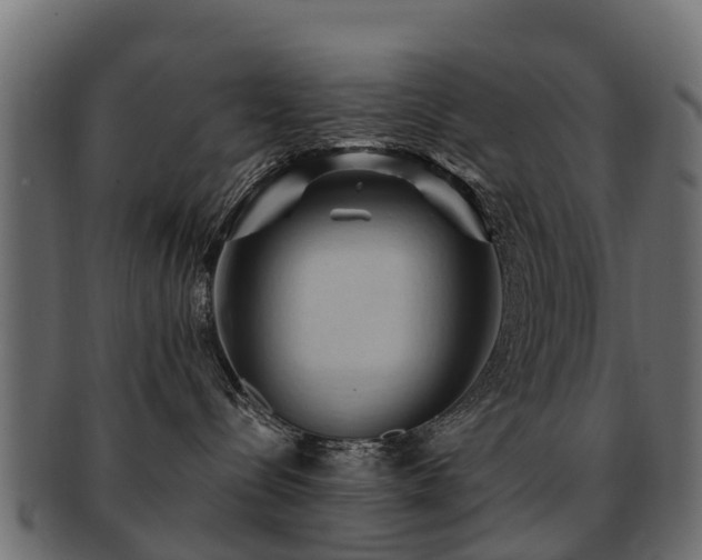 X0000093110288200709261257
