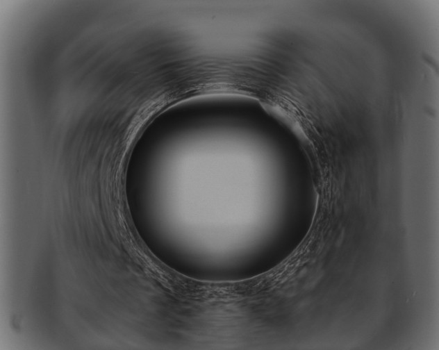 X0000093110289200709261256