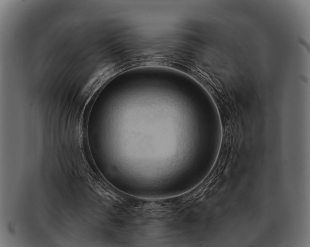 X0000093110290200709261256