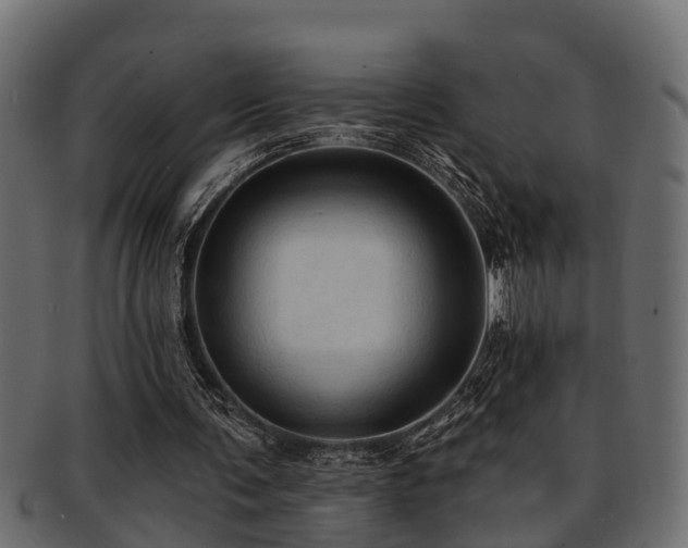 X0000093110291200709261256
