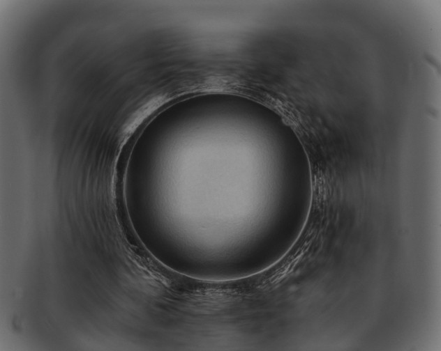 X0000093110292200709261256