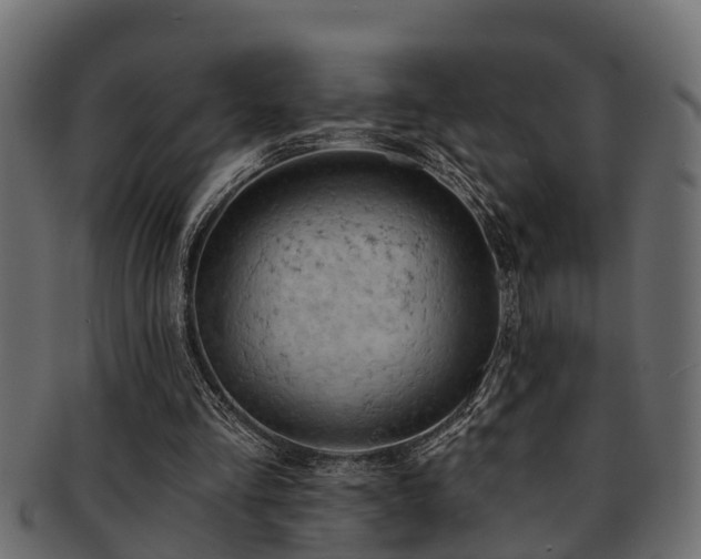 X0000093110293200709261256