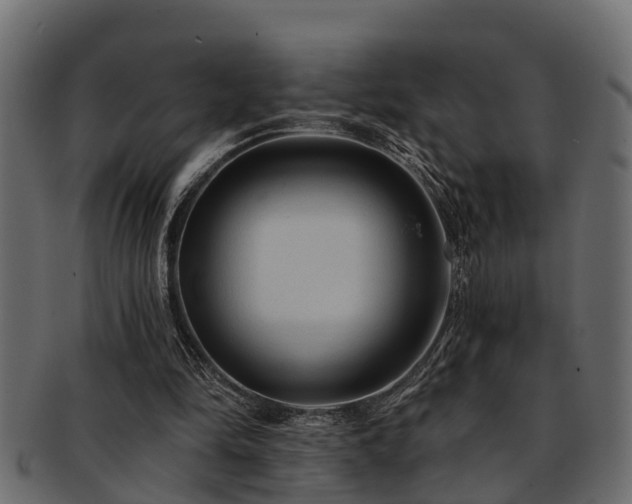 X0000093110294200709261256
