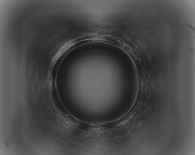 X0000093110295200709261256