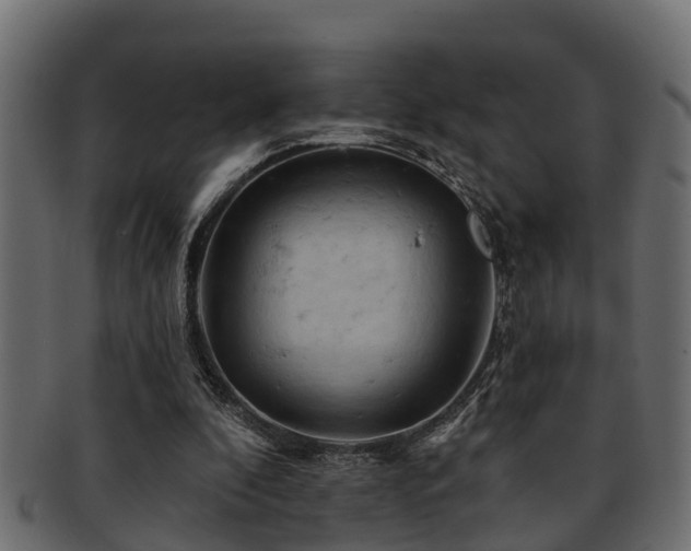 X0000093110296200709261256