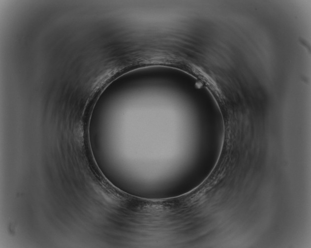 X0000093110298200709261256