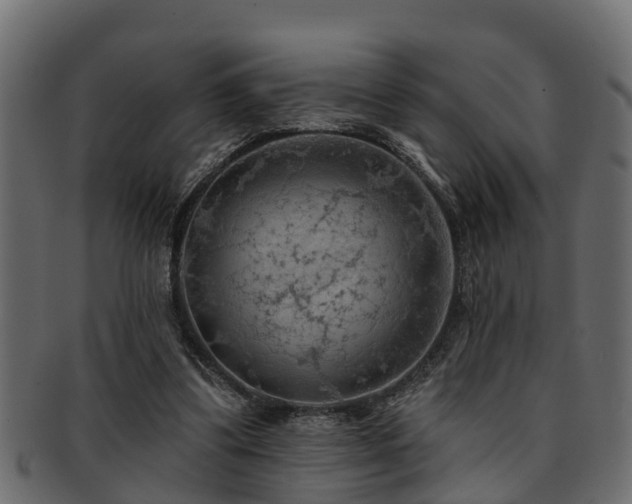 X0000093110299200709261256