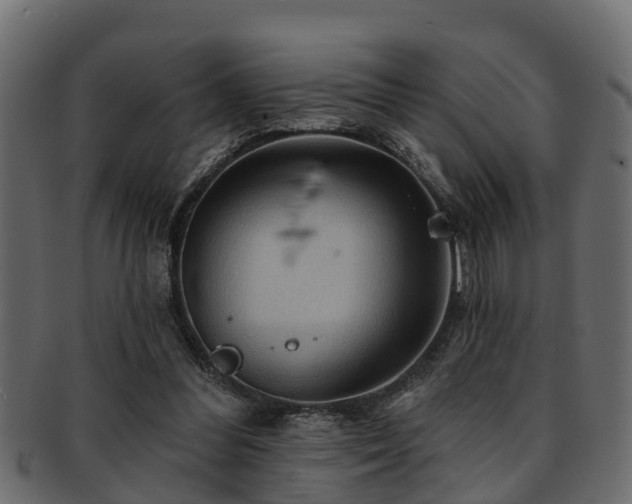 X0000093110300200709261256