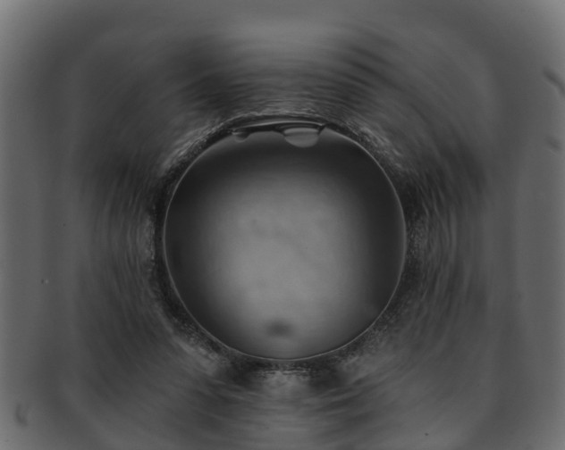 X0000093110303200709261256