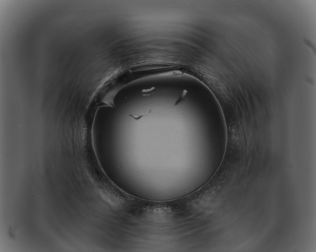 X0000093110304200709261256