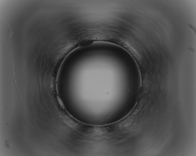 X0000093110305200709261256