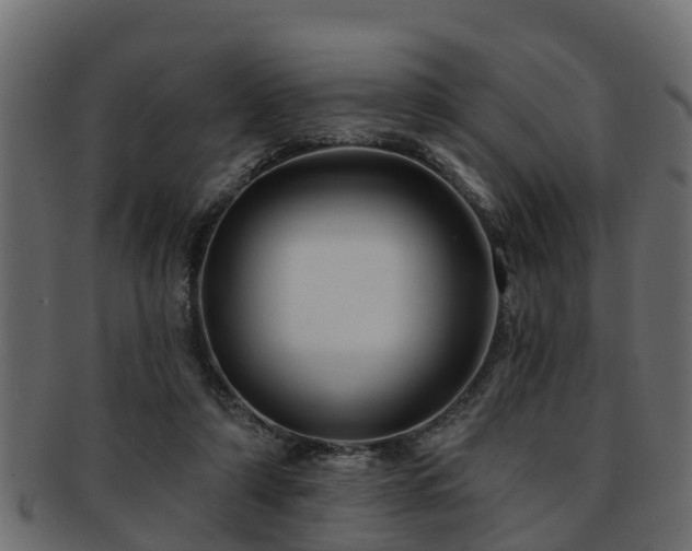 X0000093110306200709261256