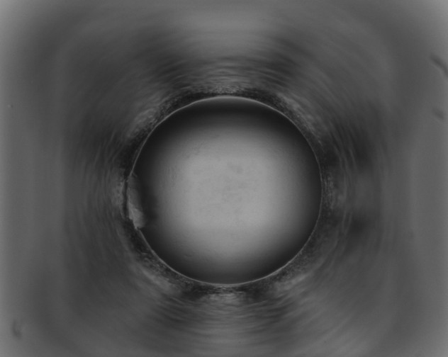 X0000093110307200709261256