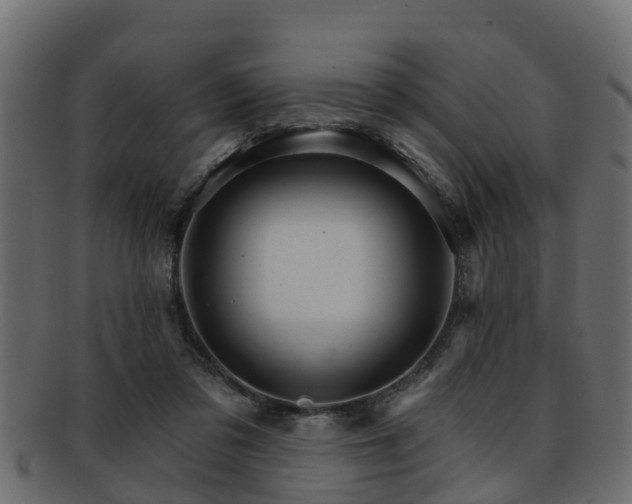 X0000093110309200709261256