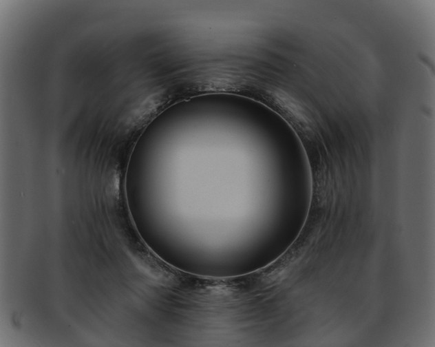 X0000093110310200709261256