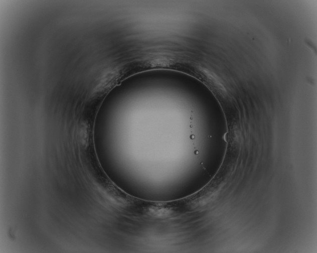 X0000093110311200709261256