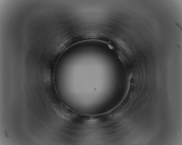 X0000093110312200709261256