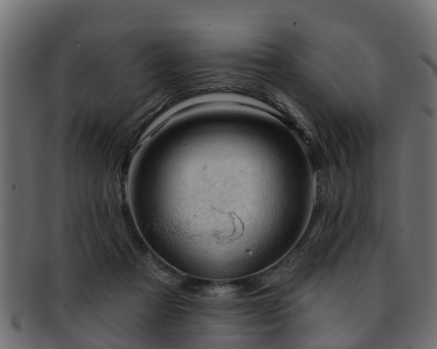 X0000093110313200709261256