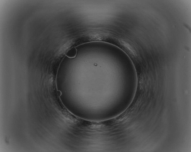 X0000093110314200709261256