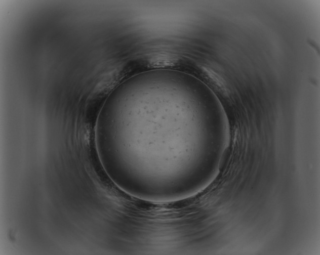 X0000093110315200709261256