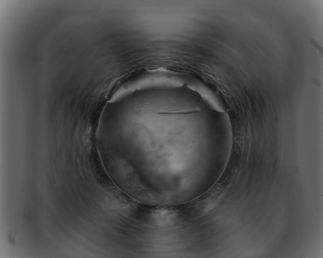 X0000093110319200709261256